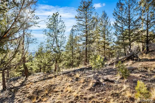 35441 Upper Aspen Lane Pine, CO 80470