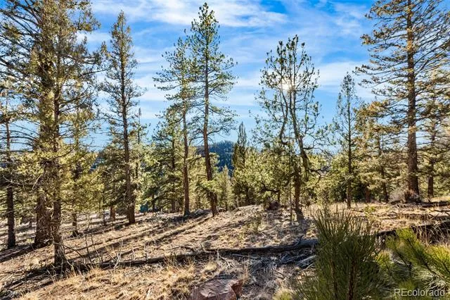 35441 Upper Aspen Lane Pine, CO 80470