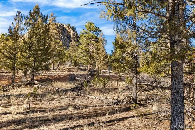 35441 Upper Aspen Lane Pine, CO 80470