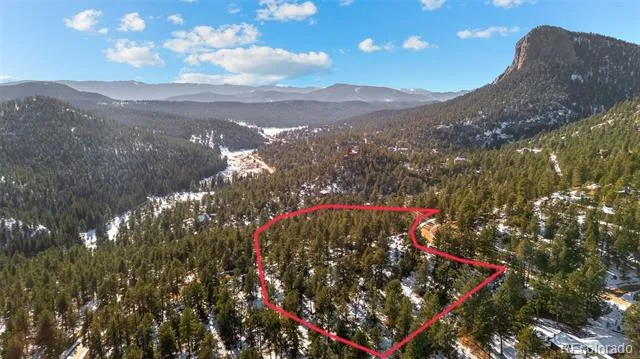 35441 Upper Aspen Lane Pine, CO 80470