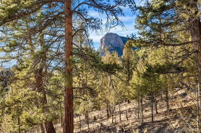 35441 Upper Aspen Lane Pine, CO 80470