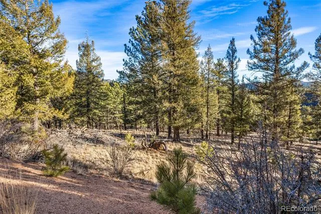 35441 Upper Aspen Lane Pine, CO 80470