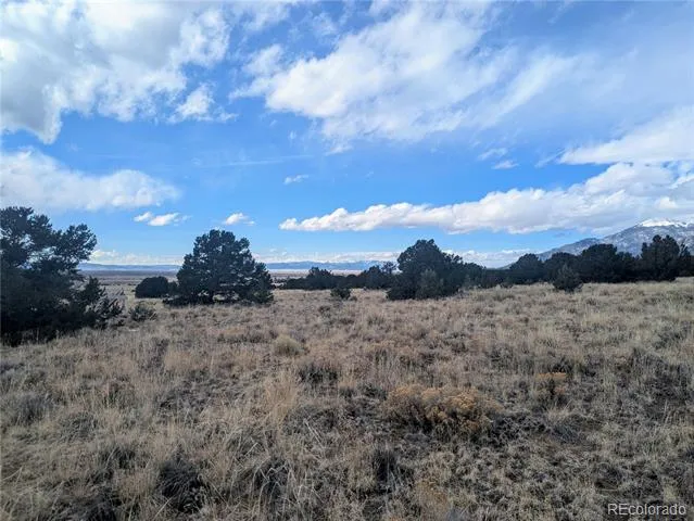 3288 Camino Del Rey Crestone, CO 81131