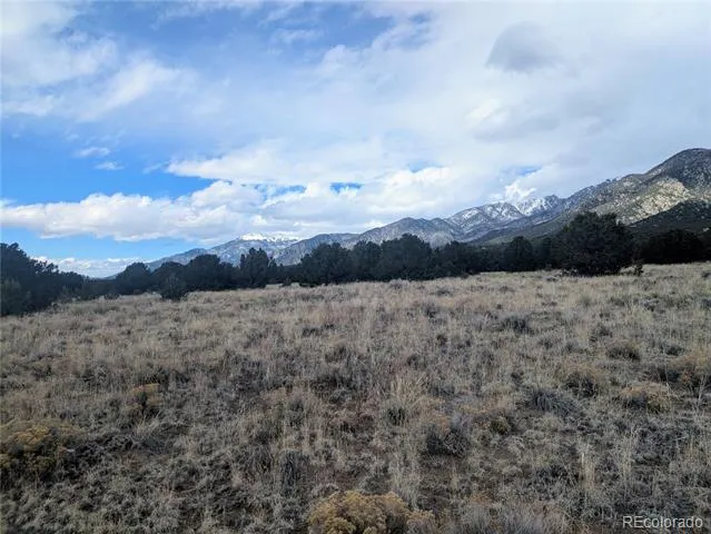 3288 Camino Del Rey Crestone, CO 81131