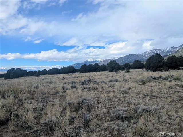 3288 Camino Del Rey Crestone, CO 81131