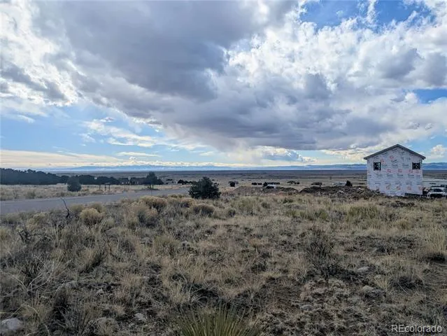 3288 Camino Del Rey Crestone, CO 81131