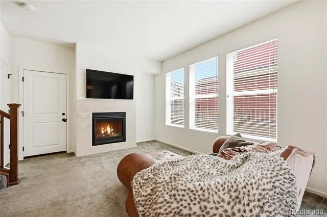 3594 Happyheart Way Castle Rock, CO 80109