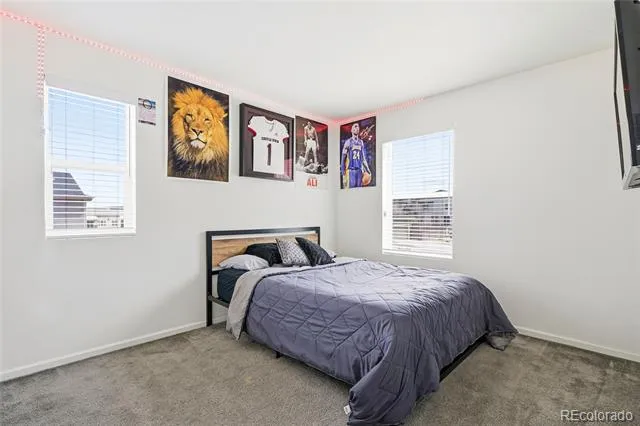 3594 Happyheart Way Castle Rock, CO 80109