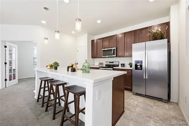 3594 Happyheart Way Castle Rock, CO 80109