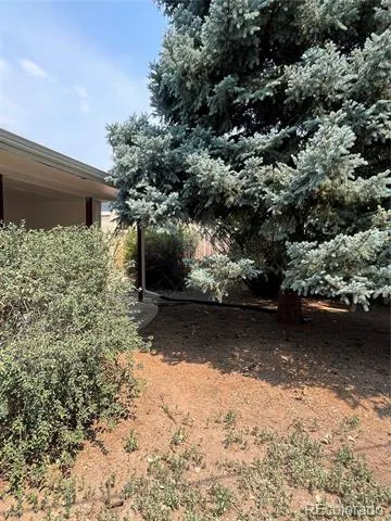 1856 S Urban Way Lakewood, CO 80228