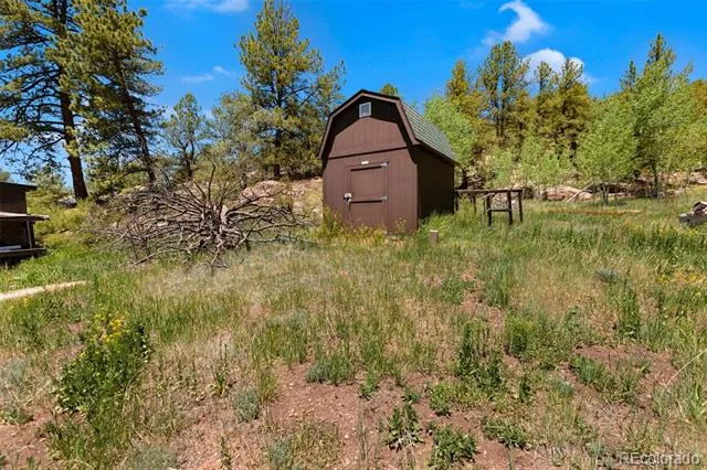 185 Canyon Drive Florissant, CO 80816