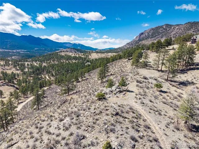 Lot 12A Bailey Estates Bailey, CO 80421