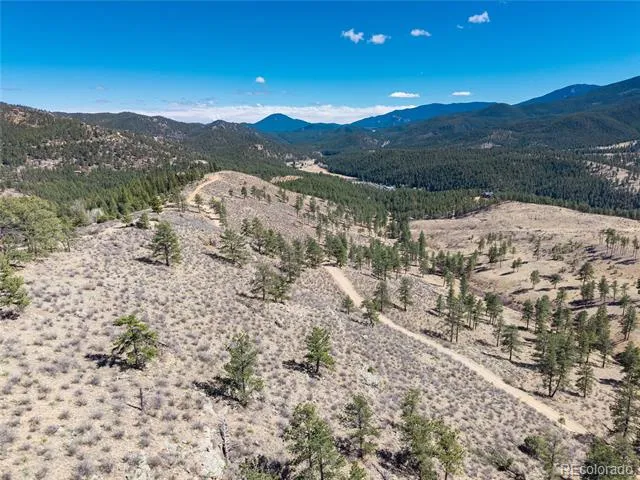 Lot 12A Bailey Estates Bailey, CO 80421