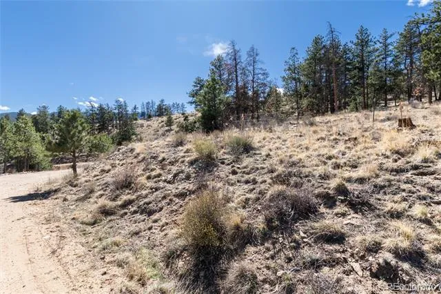 Lot 12A Bailey Estates Bailey, CO 80421