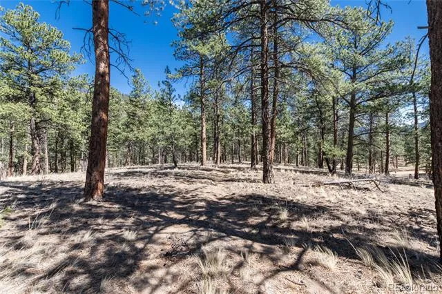 Lot 12A Bailey Estates Bailey, CO 80421