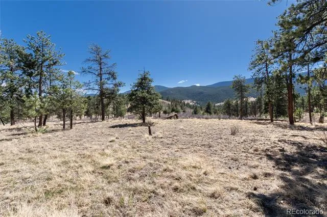 Lot 12A Bailey Estates Bailey, CO 80421