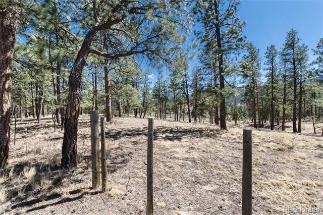 Lot 12A Bailey Estates Bailey, CO 80421