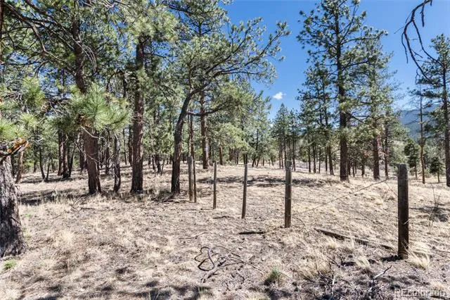 Lot 12A Bailey Estates Bailey, CO 80421