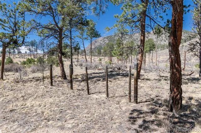 Lot 12A Bailey Estates Bailey, CO 80421