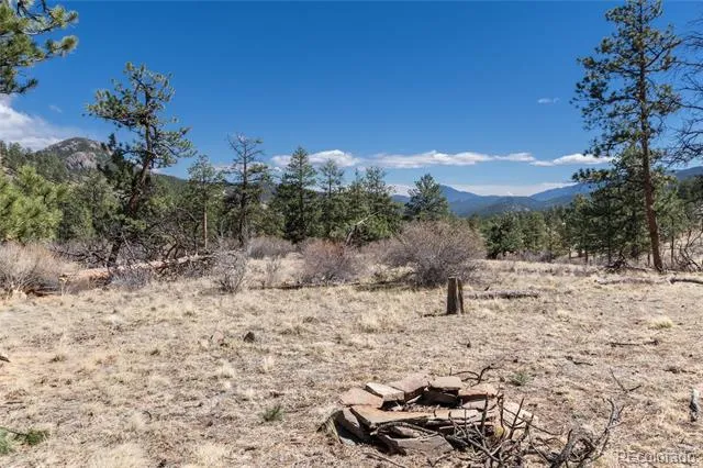 Lot 12A Bailey Estates Bailey, CO 80421