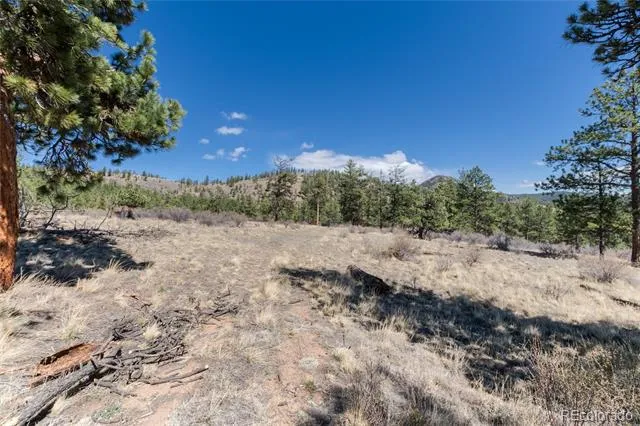 Lot 12A Bailey Estates Bailey, CO 80421