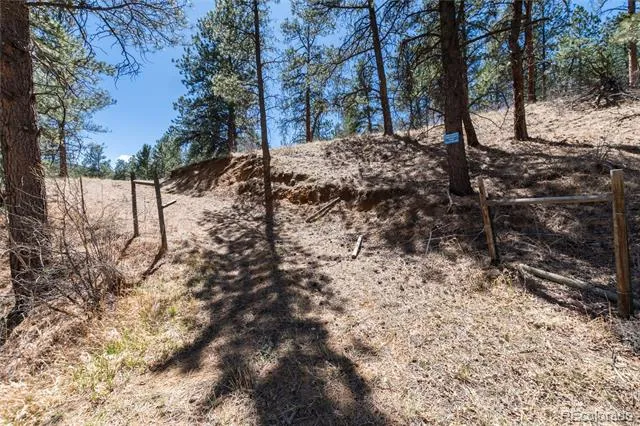 Lot 12A Bailey Estates Bailey, CO 80421