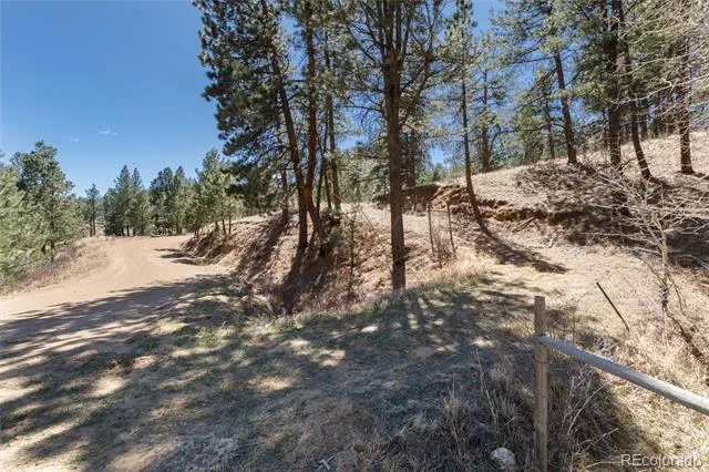 Lot 12A Bailey Estates Bailey, CO 80421