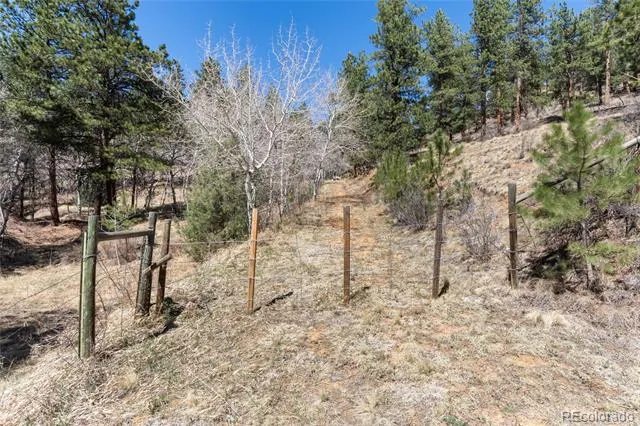 Lot 12A Bailey Estates Bailey, CO 80421