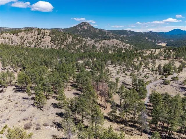 Lot 12A Bailey Estates Bailey, CO 80421