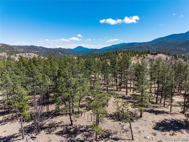 Lot 12A Bailey Estates Bailey, CO 80421