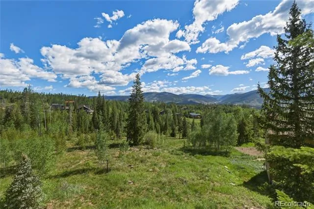 6726 Ryan Gulch Road #6726 Silverthorne, CO 80498