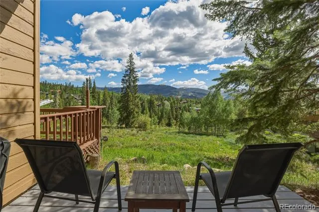 6726 Ryan Gulch Road #6726 Silverthorne, CO 80498