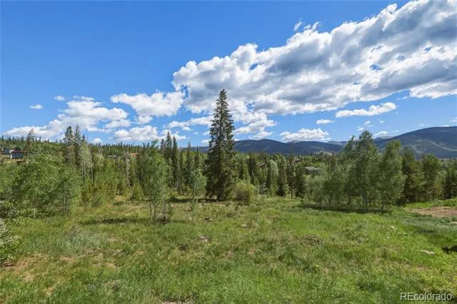6726 Ryan Gulch Road #6726 Silverthorne, CO 80498
