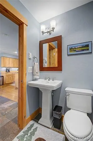 6726 Ryan Gulch Road #6726 Silverthorne, CO 80498