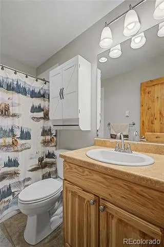 6726 Ryan Gulch Road #6726 Silverthorne, CO 80498