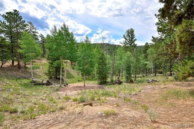 549 Mohawk Heights Florissant, CO 80816