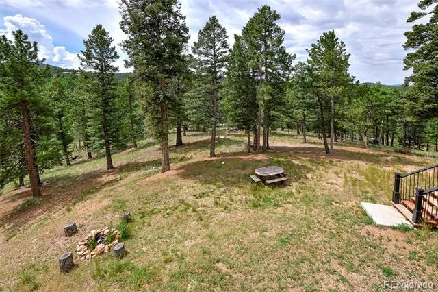 549 Mohawk Heights Florissant, CO 80816