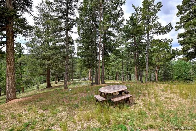 549 Mohawk Heights Florissant, CO 80816