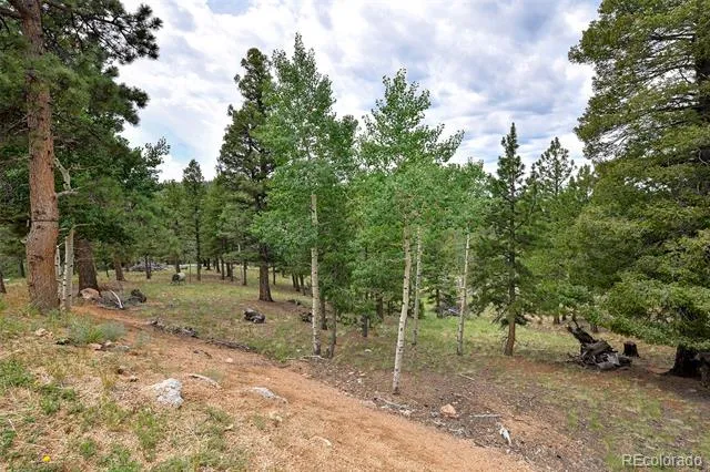 549 Mohawk Heights Florissant, CO 80816
