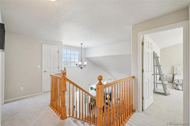 14628 Vine Street Thornton, CO 80602