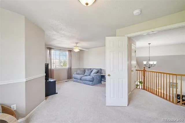 14628 Vine Street Thornton, CO 80602