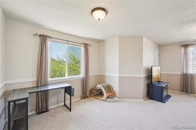 14628 Vine Street Thornton, CO 80602