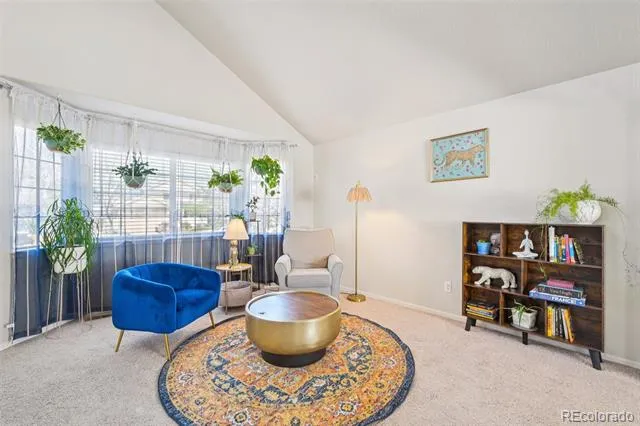 14628 Vine Street Thornton, CO 80602