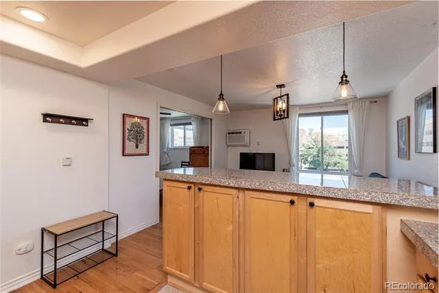 1833 Williams Street #504 Denver, CO 80218