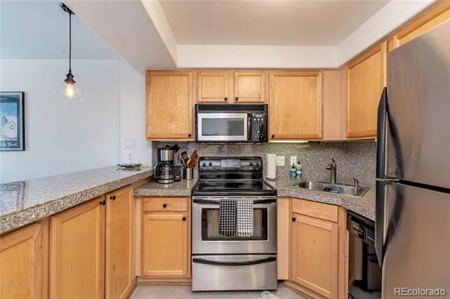 1833 Williams Street #504 Denver, CO 80218