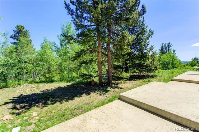 832 Vernon Drive Central City, CO 80427