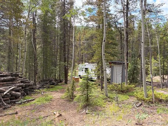 5940 Virginia Canyon Road Central City, CO 80427