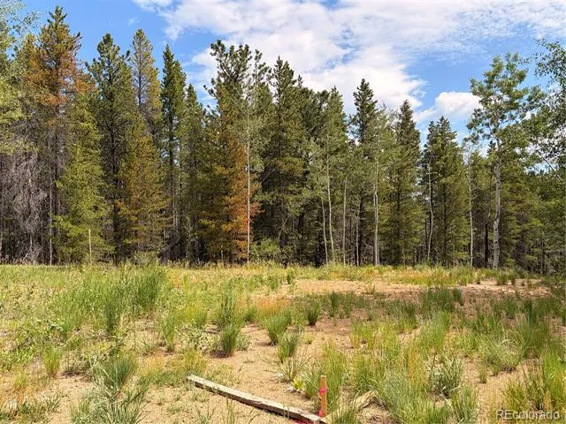5940 Virginia Canyon Road Central City, CO 80427