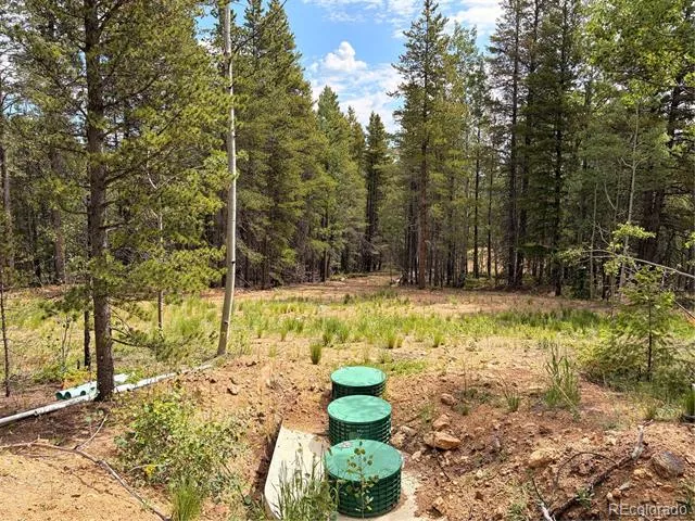 5940 Virginia Canyon Road Central City, CO 80427