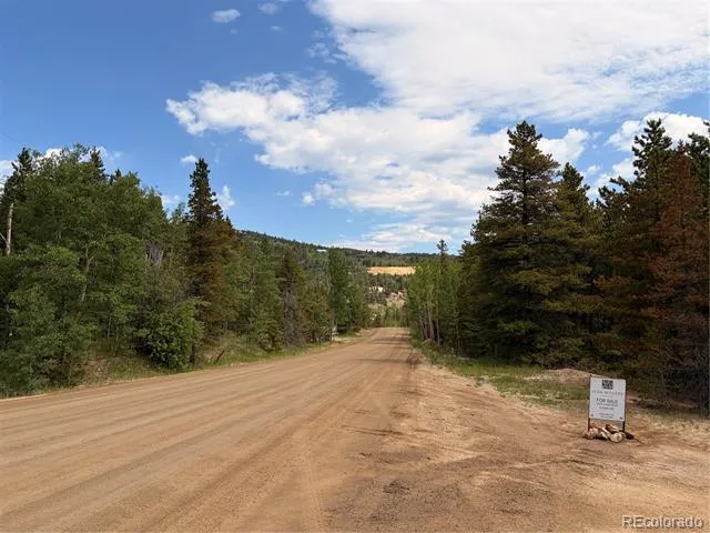 5940 Virginia Canyon Road Central City, CO 80427